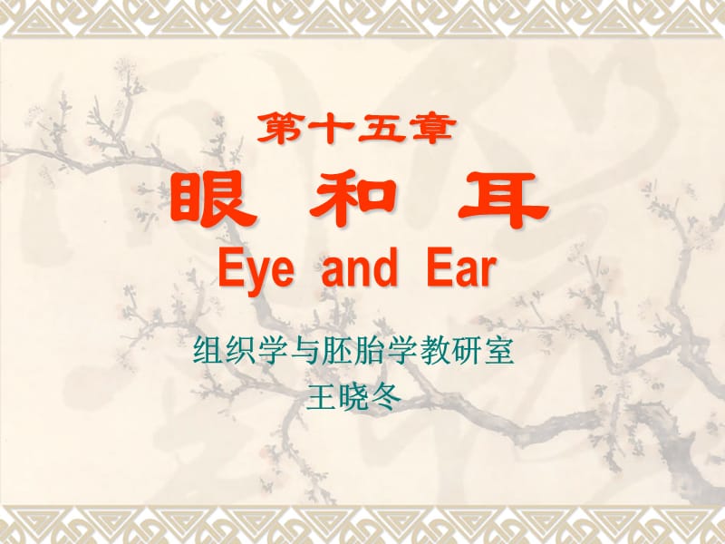 第十五章眼和耳EyeandEar.ppt_第1页