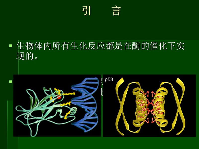 seminari辅酶q10的生物化学性质刘姝ppt课件.ppt_第3页