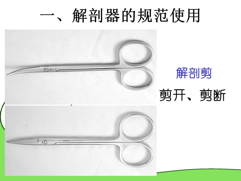 第二节中学生物实验的常用工具.ppt_第2页