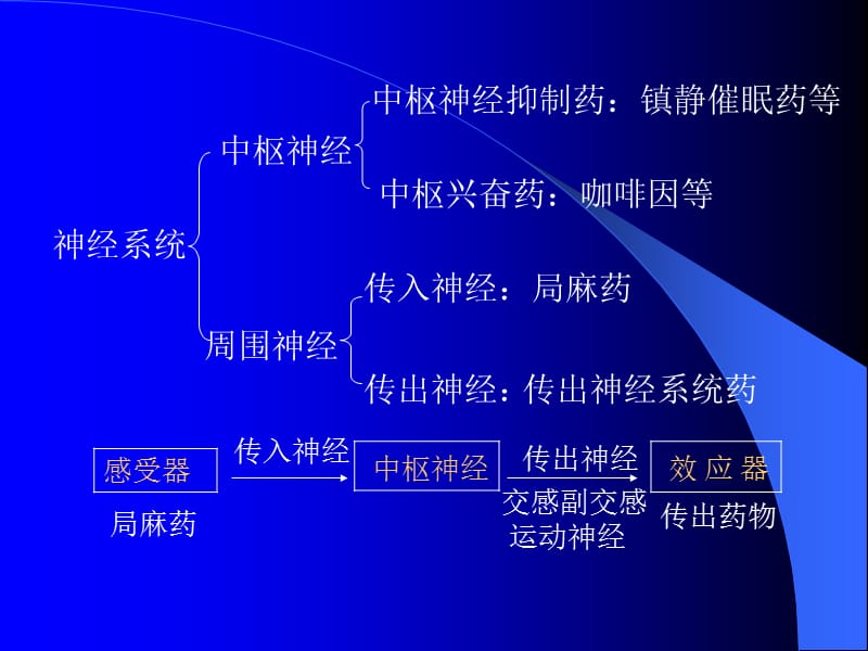 第二章作用于传出神经系统的药物.ppt_第2页