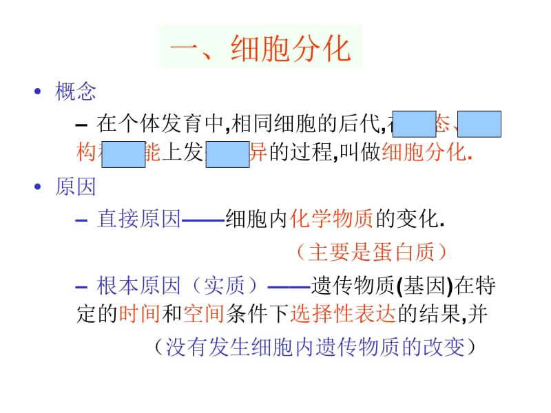 《高三生物复习资料》第11讲 细胞分化癌变和衰老.ppt_第2页