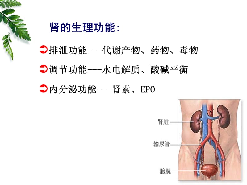 第十六章肾功能不全2012B.ppt_第2页