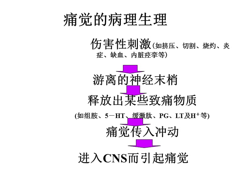 第十九章镇痛药.ppt_第3页