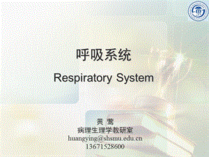 《呼吸系统教学资料》呼吸系统绪论2016-9-14.ppt