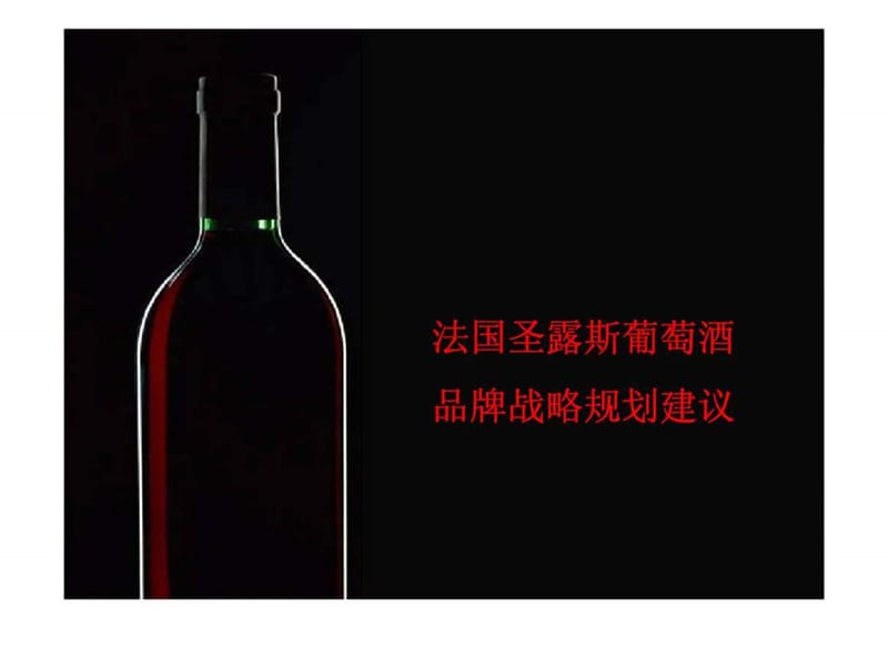 进口葡萄酒战略规划.ppt_第2页