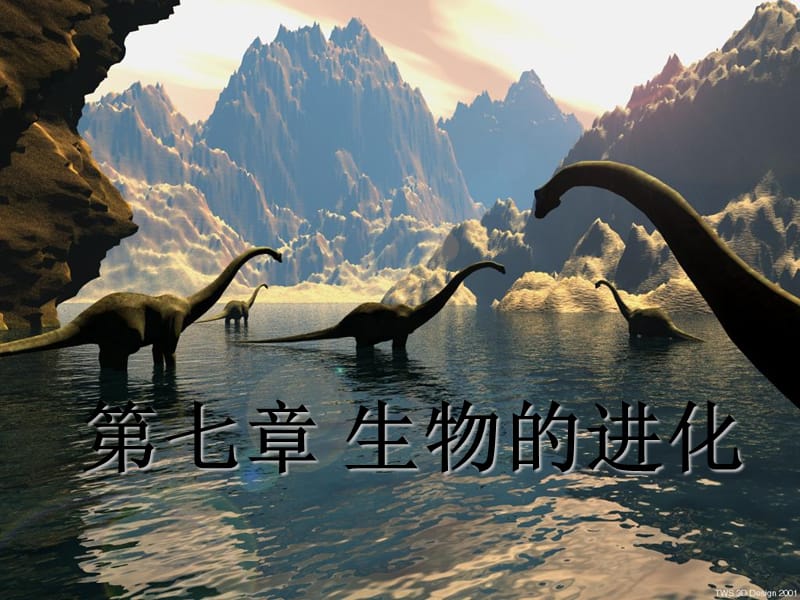 第七章生物的进化.ppt_第1页