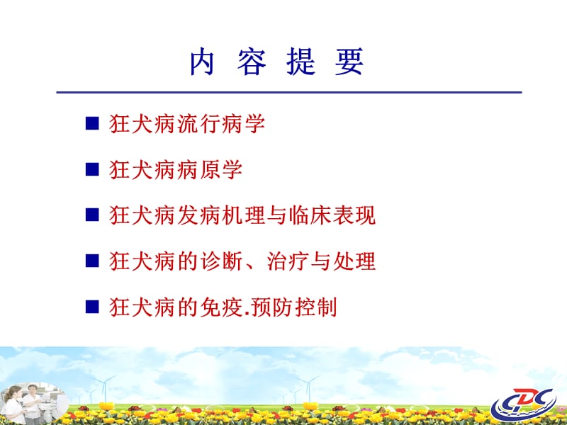 狂犬病防治培训.ppt_第2页