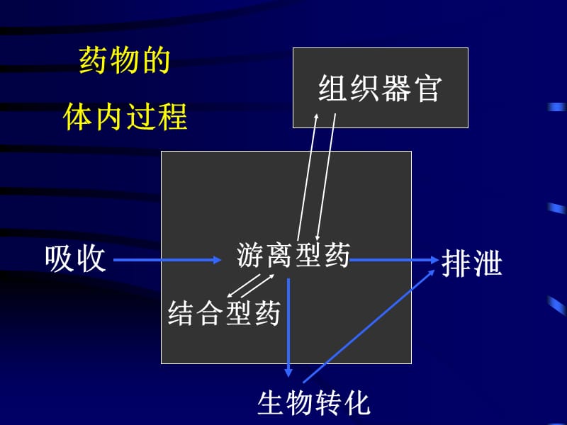 第二章药物代动力学.ppt_第3页