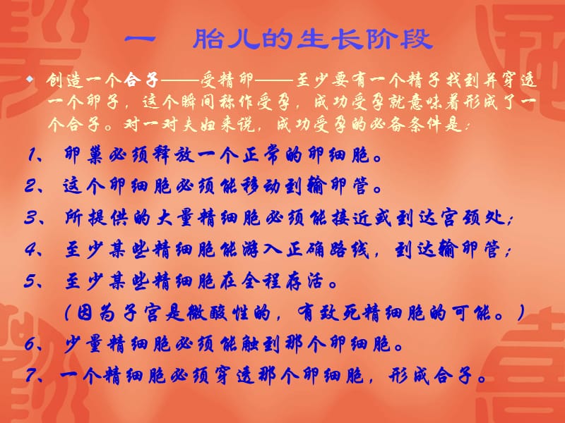 第二讲胎儿期.ppt_第2页