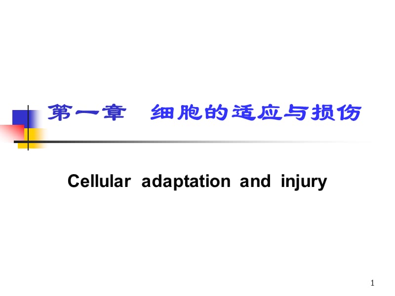 第一章细胞的损伤与适应.ppt_第1页