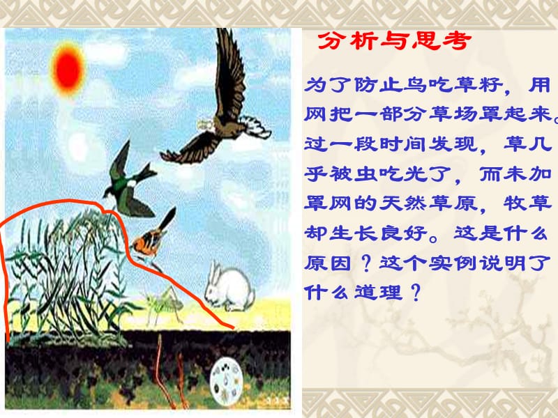 第二节生物与环境组成生态系统.ppt_第2页