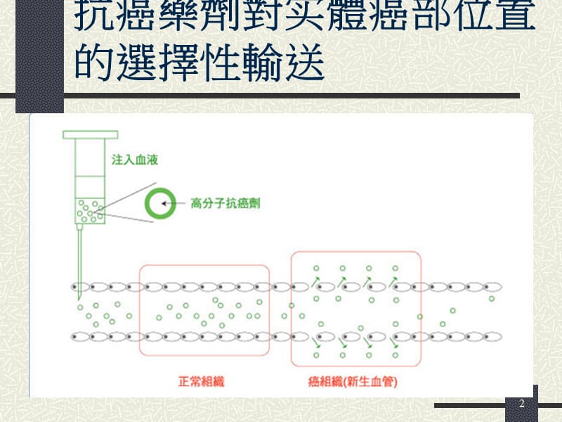 纳米技术与肿瘤诊治.ppt_第2页