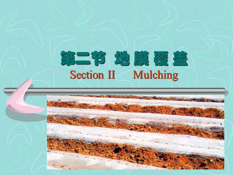 第二部分地膜覆盖SectionIIMulching.ppt_第1页