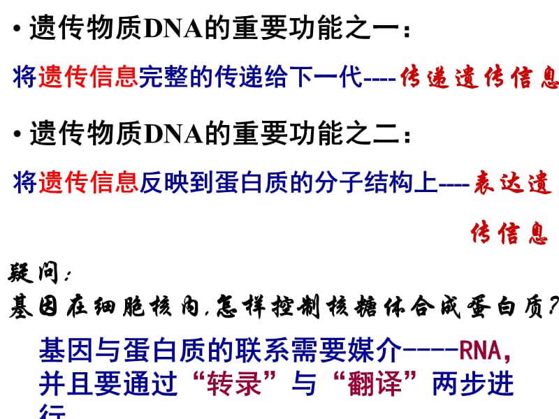 第四节遗传信息的表达-RNA和蛋白质的合成.ppt_第2页