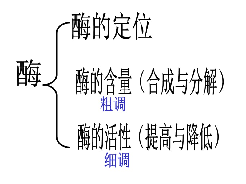 第九章物质代谢的调控.ppt_第3页