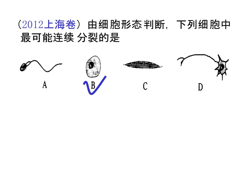 《高三生物复习资料》第10,12讲 细胞增殖 减数分裂中的染色体行为.ppt_第2页