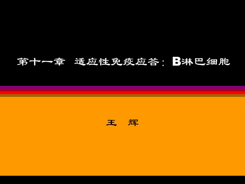 第十一章适应性免疫应答B淋巴细胞.ppt_第1页