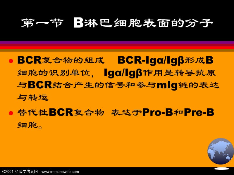 第十一章适应性免疫应答B淋巴细胞.ppt_第3页