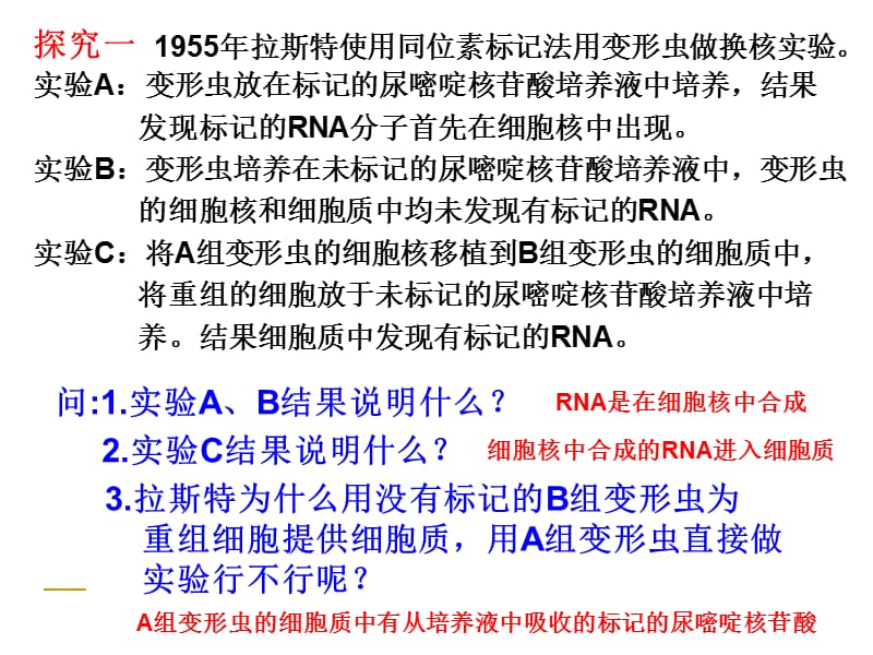 第四部分遗传信息的表达RNA和蛋白质合成教学课件.ppt_第3页