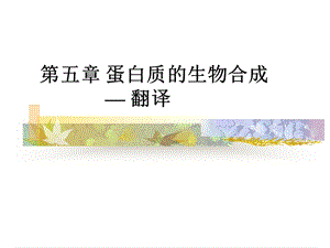 第五章蛋白质的生物合成翻译000001.ppt