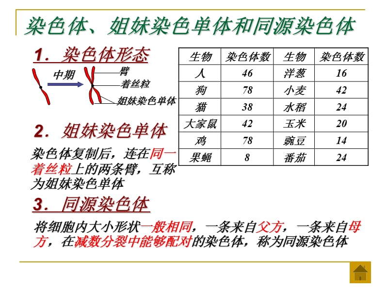 第二章染色体与遗传.ppt_第3页