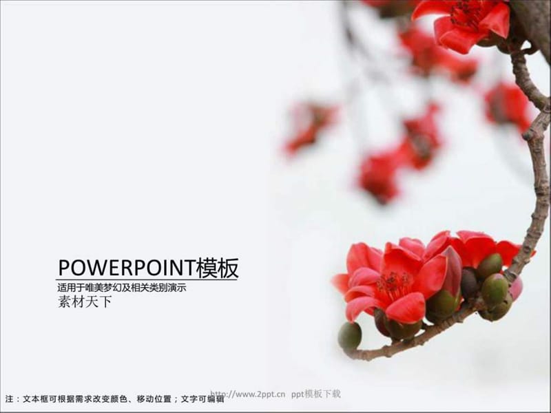 木棉花PPT模板.ppt.ppt_第1页