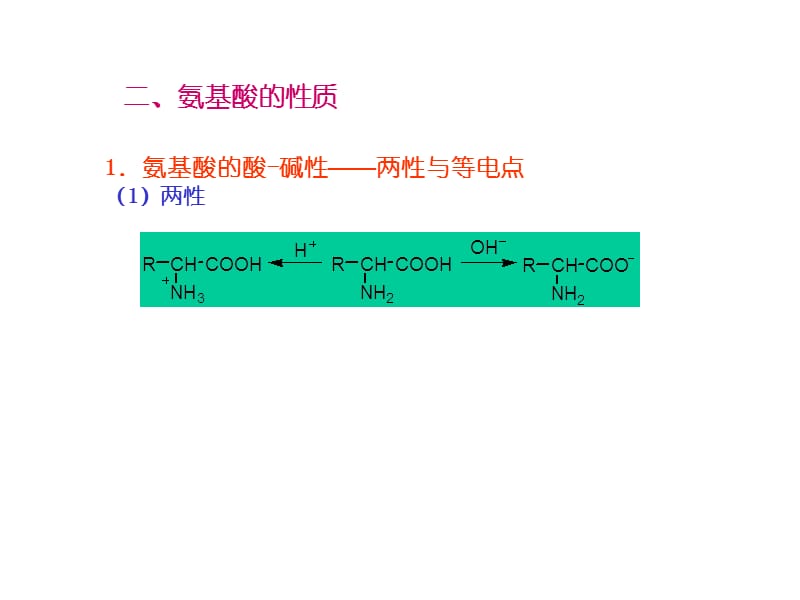 第十九章氨基酸蛋白质和核酸.ppt_第3页