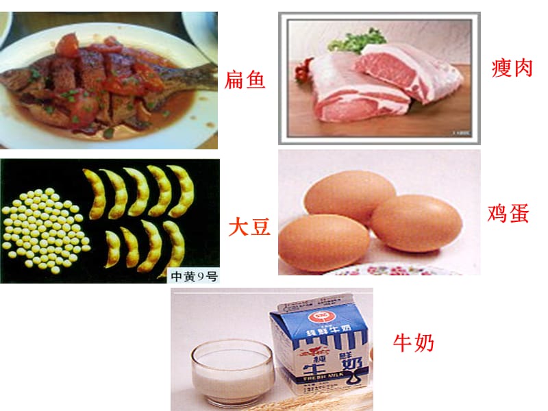 【化学】5.2《氨基酸 蛋白质 核酸》8——氨基酸课件1(苏教版选修5).ppt_第1页