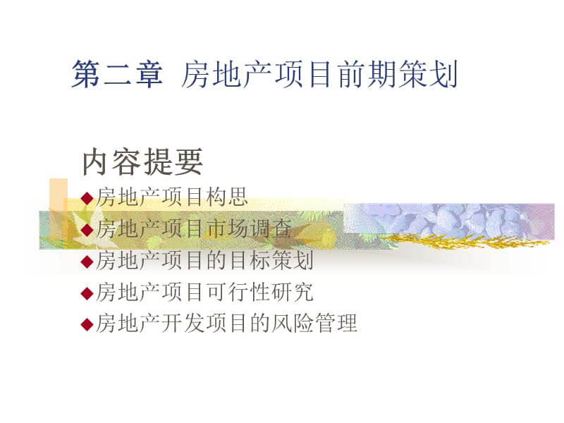 第二部分房地产项目前期策划.ppt_第1页