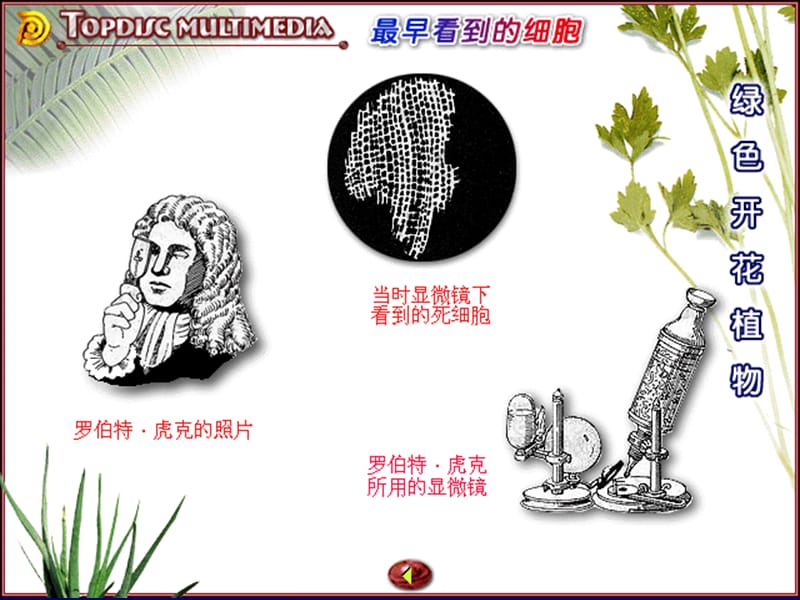 第三章观察生物.ppt_第3页