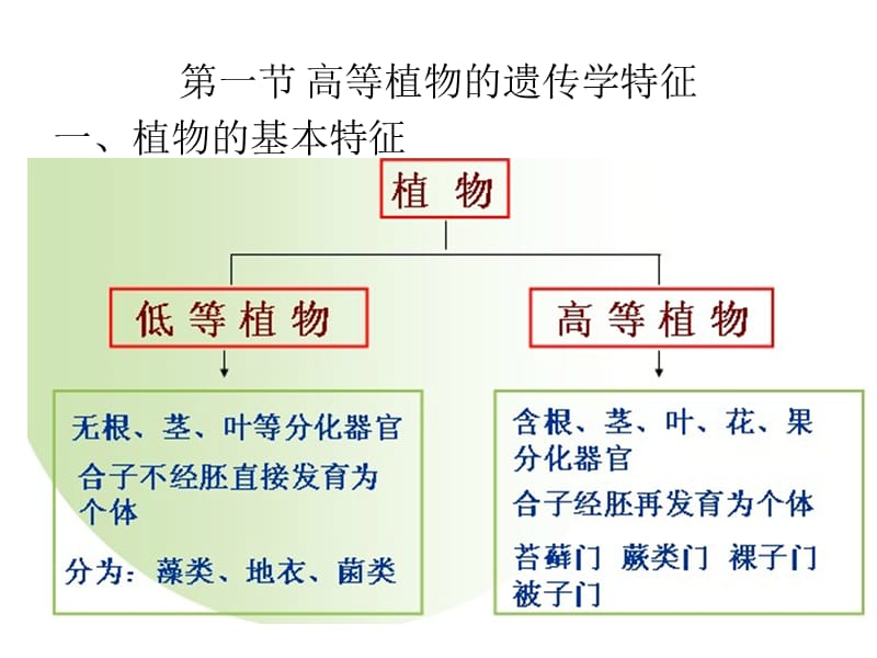 第五章植物基因工程ppt课件.ppt_第3页