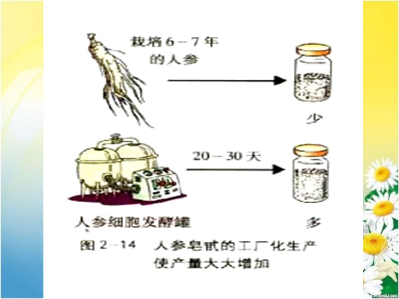 第二章生物科学与农业.ppt_第3页