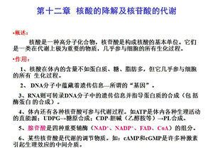 第十二章核酸的降解及核苷酸的代谢概述核酸是一种高分.ppt