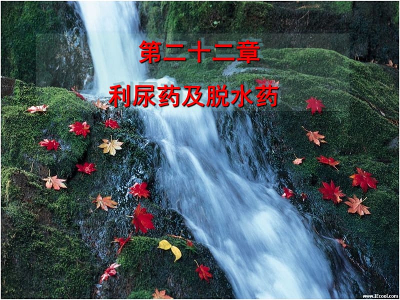 第二十二章w利尿药与脱水药.ppt_第1页