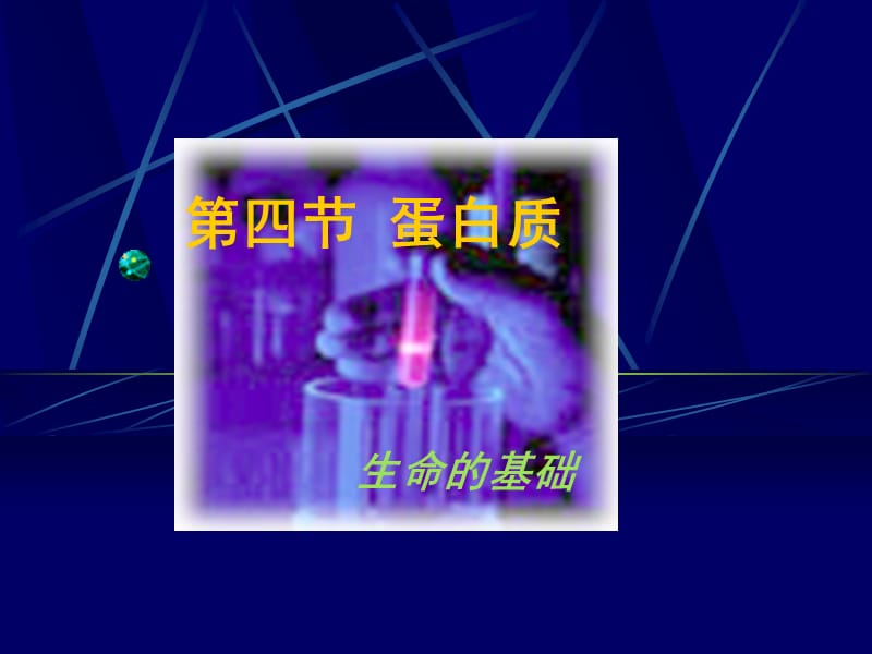 第四节蛋白质.ppt_第1页