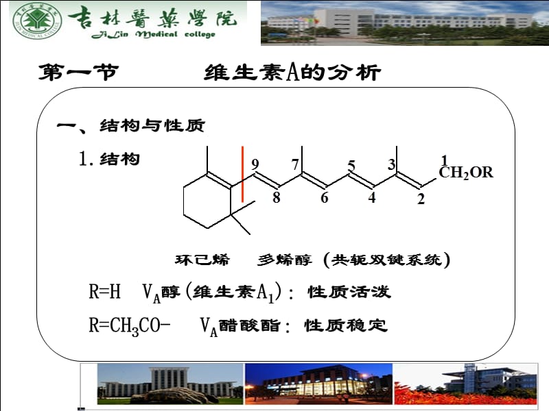 第十四部分维生素类药物的分析AnalysisofVitamines教学课件.ppt_第3页