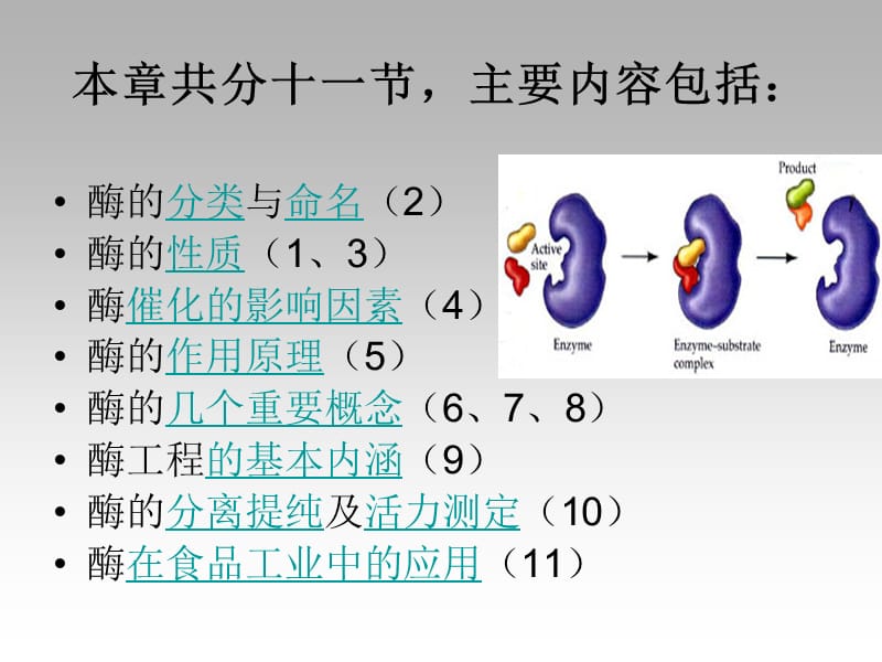 第五章酶主讲人曹劲松.ppt_第2页