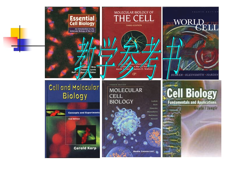 第一章细胞生物学绪论ppt课件.ppt_第3页