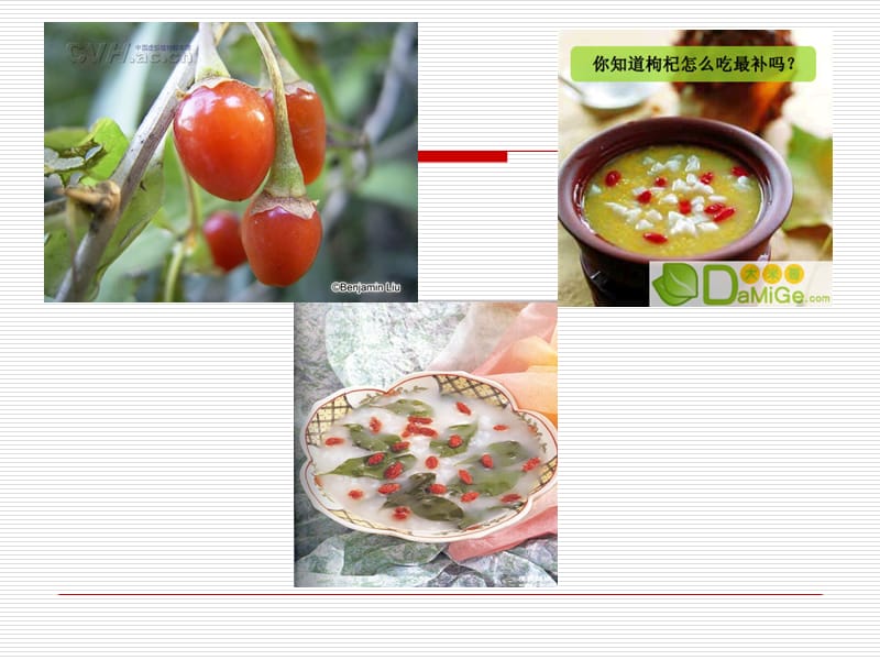 美眼明目食物.ppt_第3页