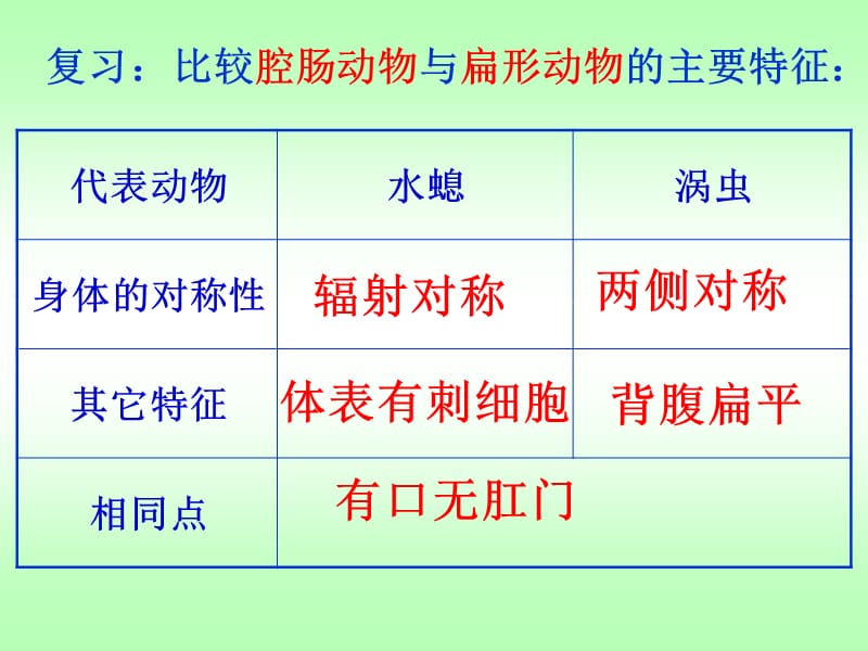 第二线形动物和环动物.ppt_第1页