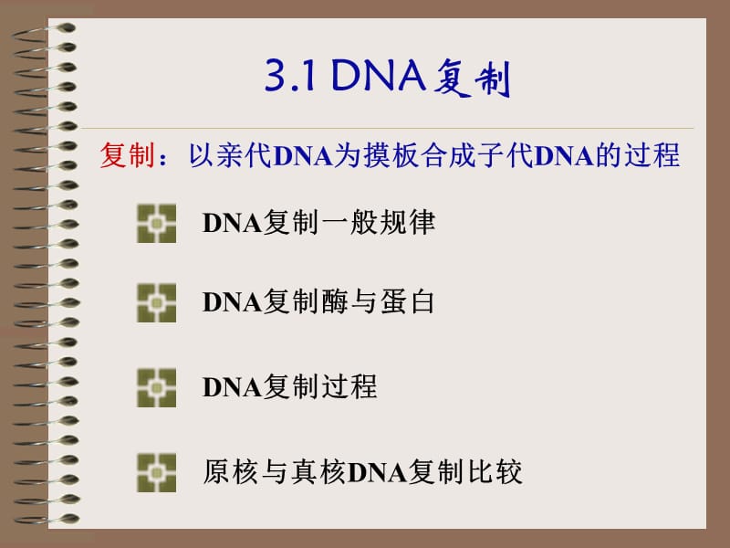 第三章遗传信息传递.ppt_第3页