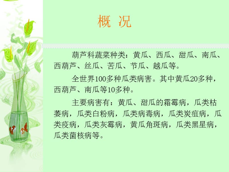 第三章葫芦科蔬菜病害.ppt_第2页