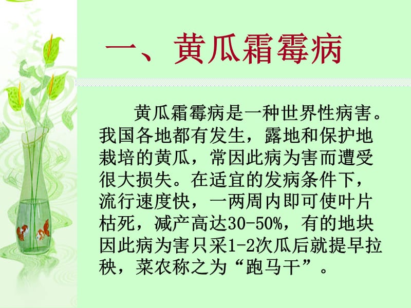 第三章葫芦科蔬菜病害.ppt_第3页