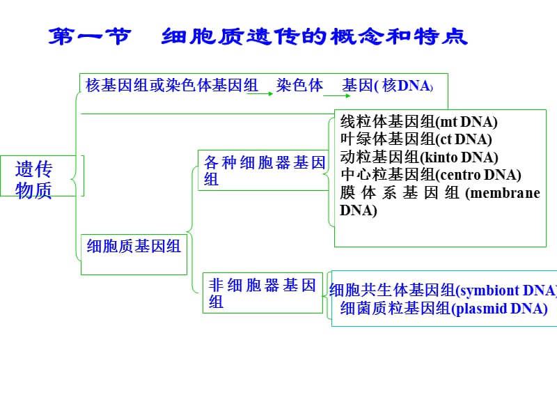 第十一部分细胞质遗传教学课件.ppt_第2页