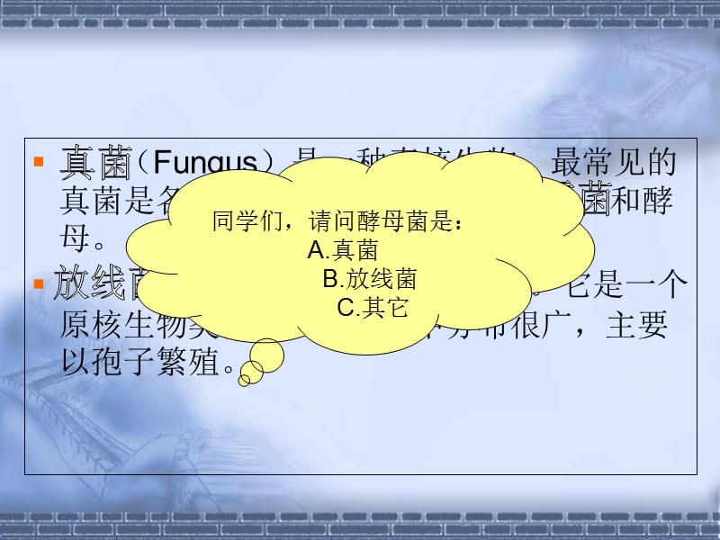 链霉菌及其主要抗生素.ppt_第2页