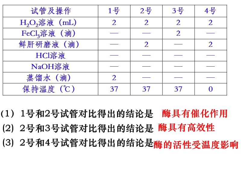 酶的相关实验.ppt_第3页