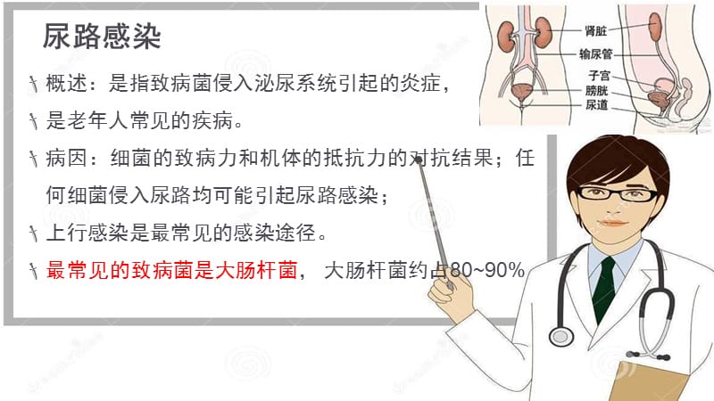 老年尿路感染护理.ppt_第3页