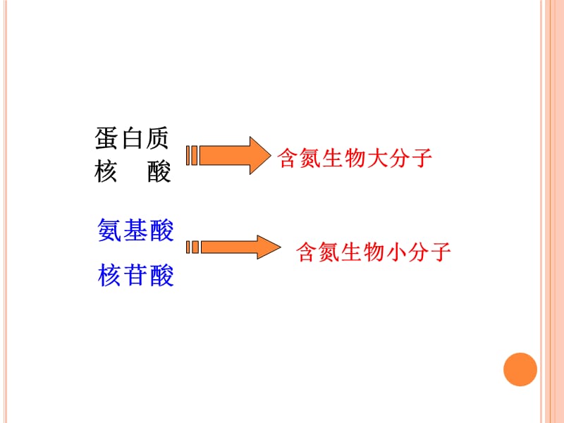 执业兽医资格考试生物化学含氮小分子代谢ppt课件.ppt_第2页