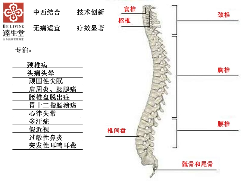 龙氏脊椎正骨.ppt_第2页