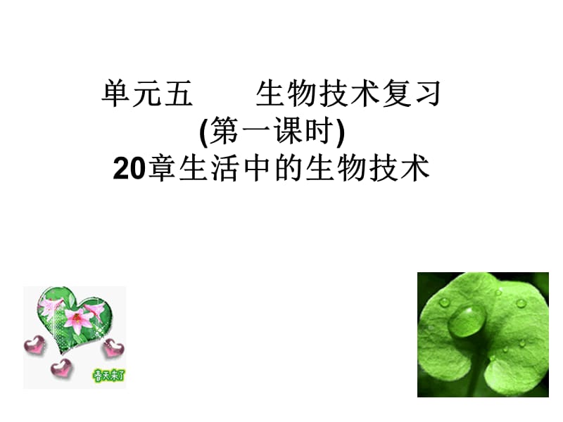 八年级生物日常生活中的生物技术.ppt_第1页